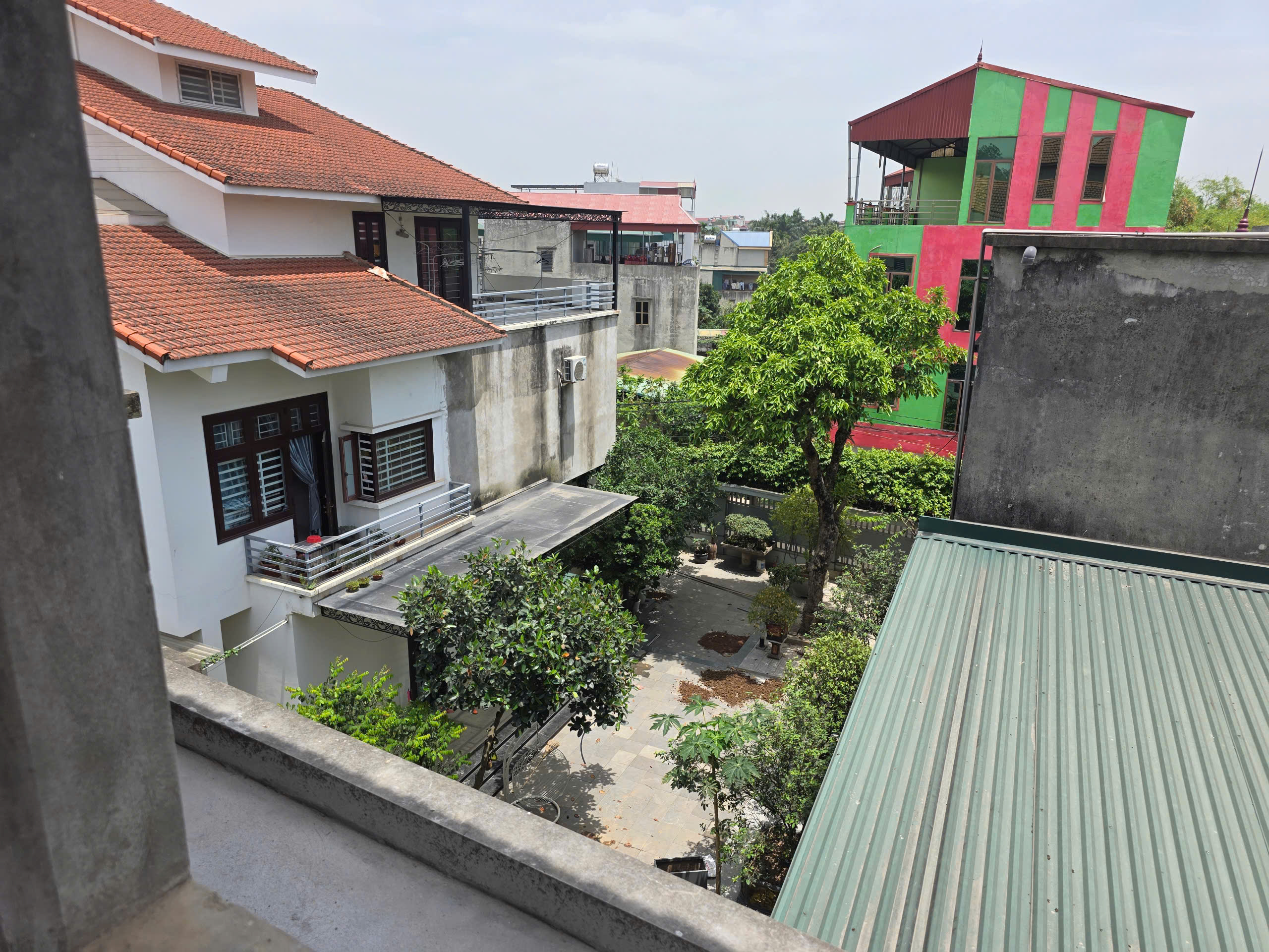 Xuân Thủy Tiên, Xuân Mai, Hà Nội1