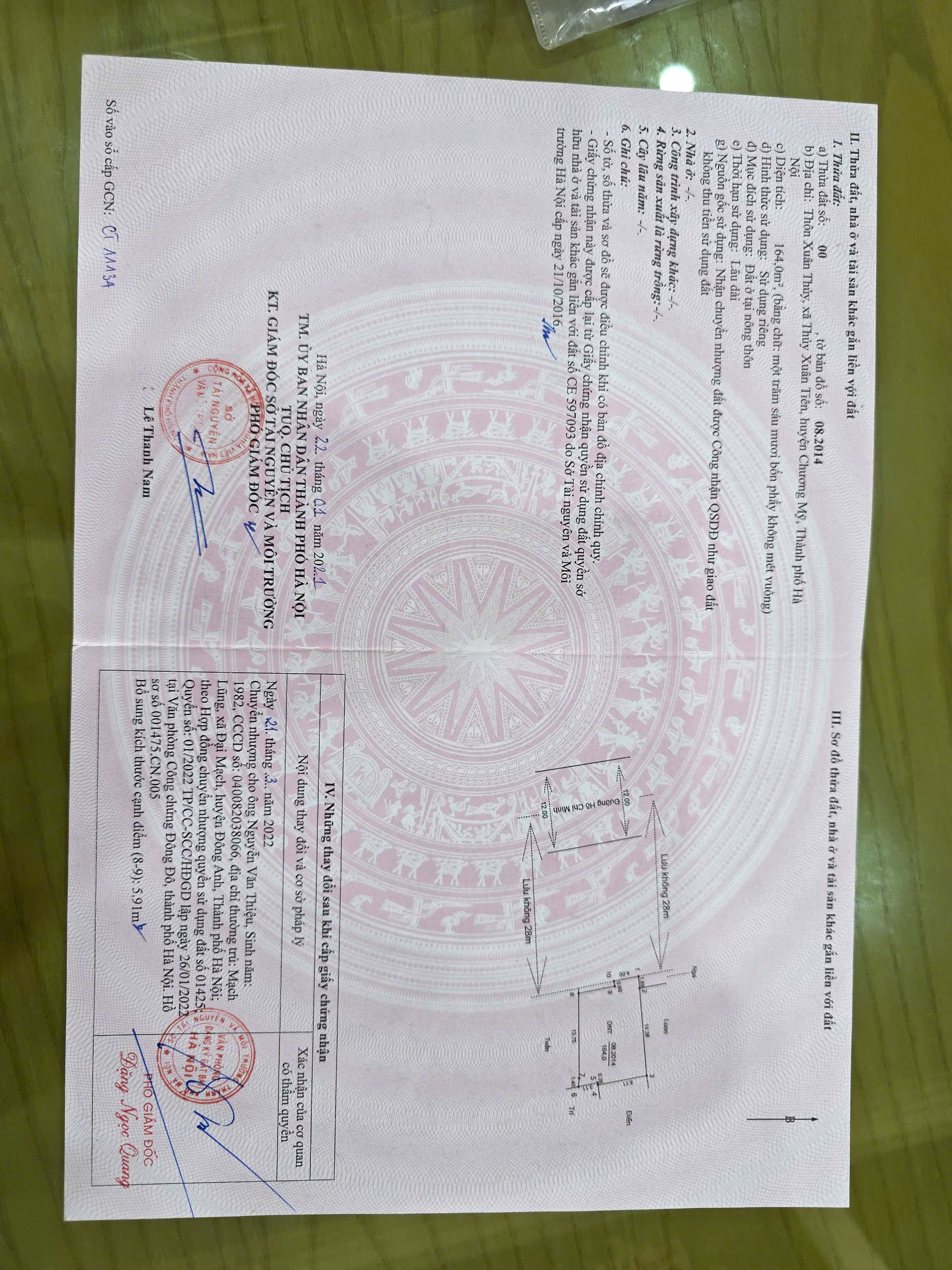 Xuân Thủy Tiên, Xuân Mai, Hà Nội21